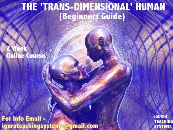 The Trans Dimensional Human Course Poster